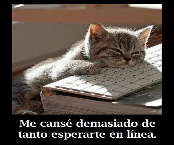 Imagenes Para Facebook Bonitas y Nuevas 2013 | Imagenes Lindas Imagenes Para Facebook Bonitas y Nuevas 2013 | Imagenes Lindas