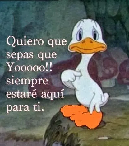 Ver Imagenes para facebook: Imagenes tiernas para etiquetar en ...