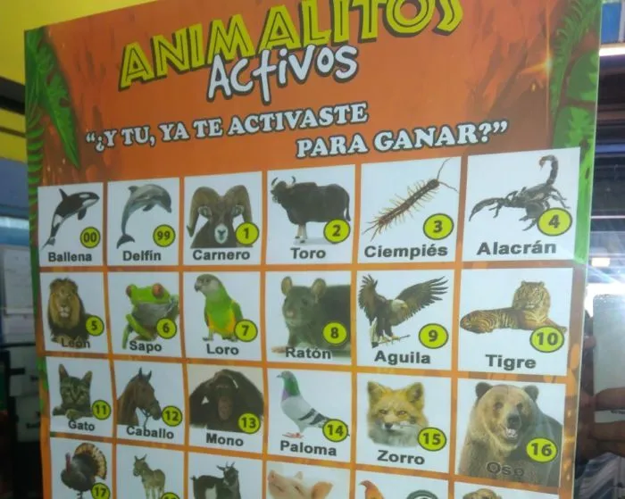 Ahora en imágenes: Lo que hay detrás del famoso juego Ahora en imágenes: Lo que hay detrás del famoso juego