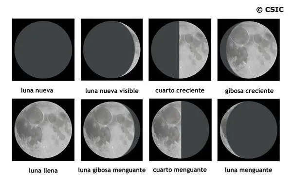 imagenes de las 8 fases lunares para colorear | LA CLASE DE MARIAN ... imagenes de las 8 fases lunares para colorear | LA CLASE DE MARIAN ...
