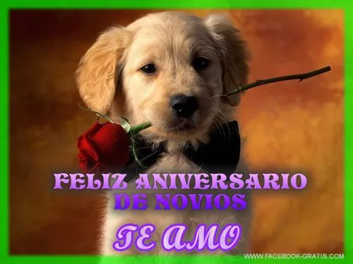 Feliz aniversario de novios 1 año - Imagui