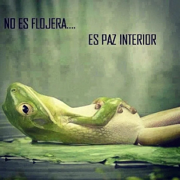 Imágenes con flojera - Imagui