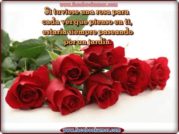 Imagenes de amor HD: Imagenes de flores de amor gratis Imagenes de amor HD: Imagenes de flores de amor gratis