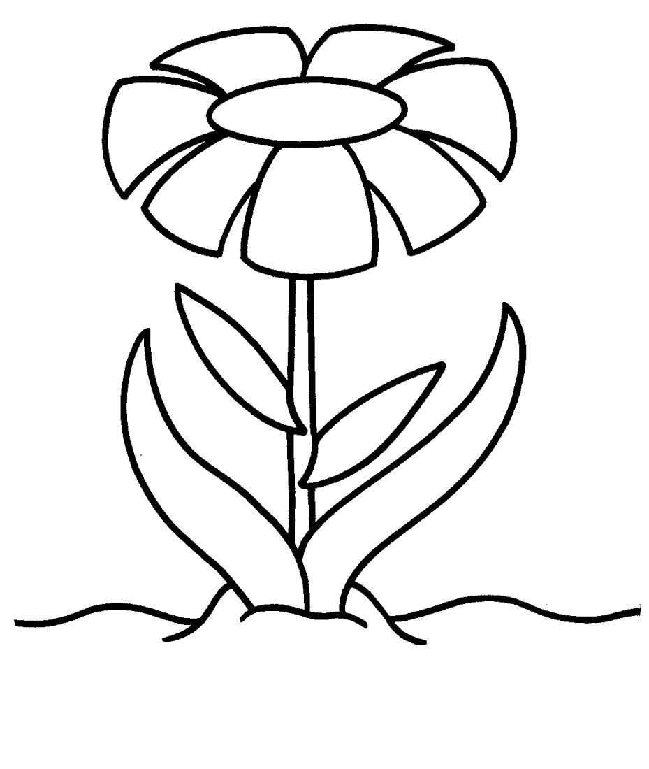 Imagenes De Flores Para Colorear Dibujos Flores Colorear Gif