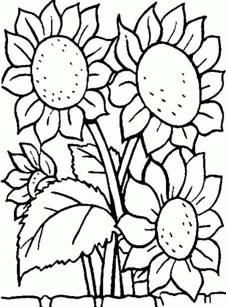 imagenes de flores para colorear | Dibujos infantiles de Flores ...