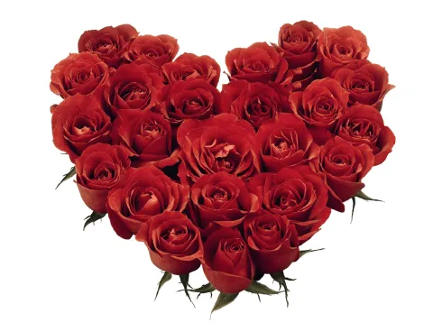imagenes de flores y corazones - IMG MLP