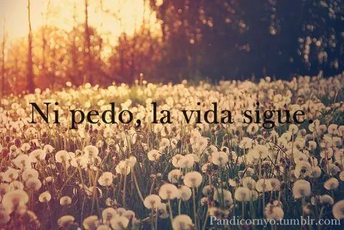 Pandicornio:)