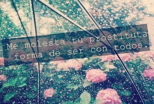 Frases con fondo de flores tumblr - Imagui