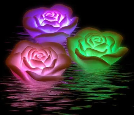 La casa se llenó de la fragancia del perfume» (Oracion meditativa) La casa se llenó de la fragancia del perfume» (Oracion meditativa)