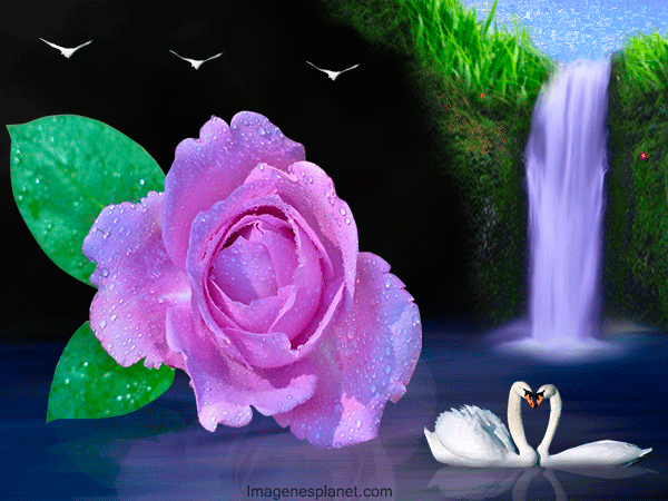 Hermosas flores con.movimientos - Imagui