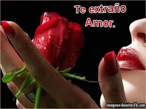 Imágenes flores de rosas bonitas con frases para compartir en ...