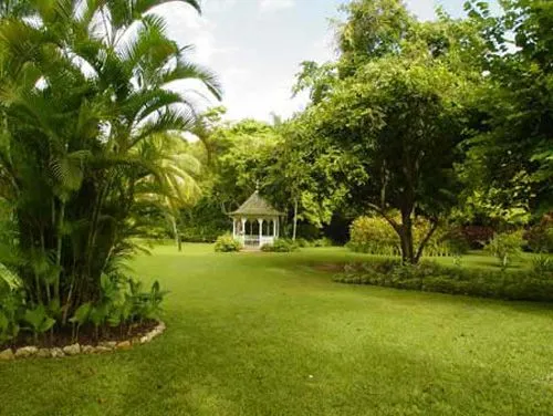 Imagenes para fondo de fotografia con jardin - Imagui Imagenes para fondo de fotografia con jardin - Imagui