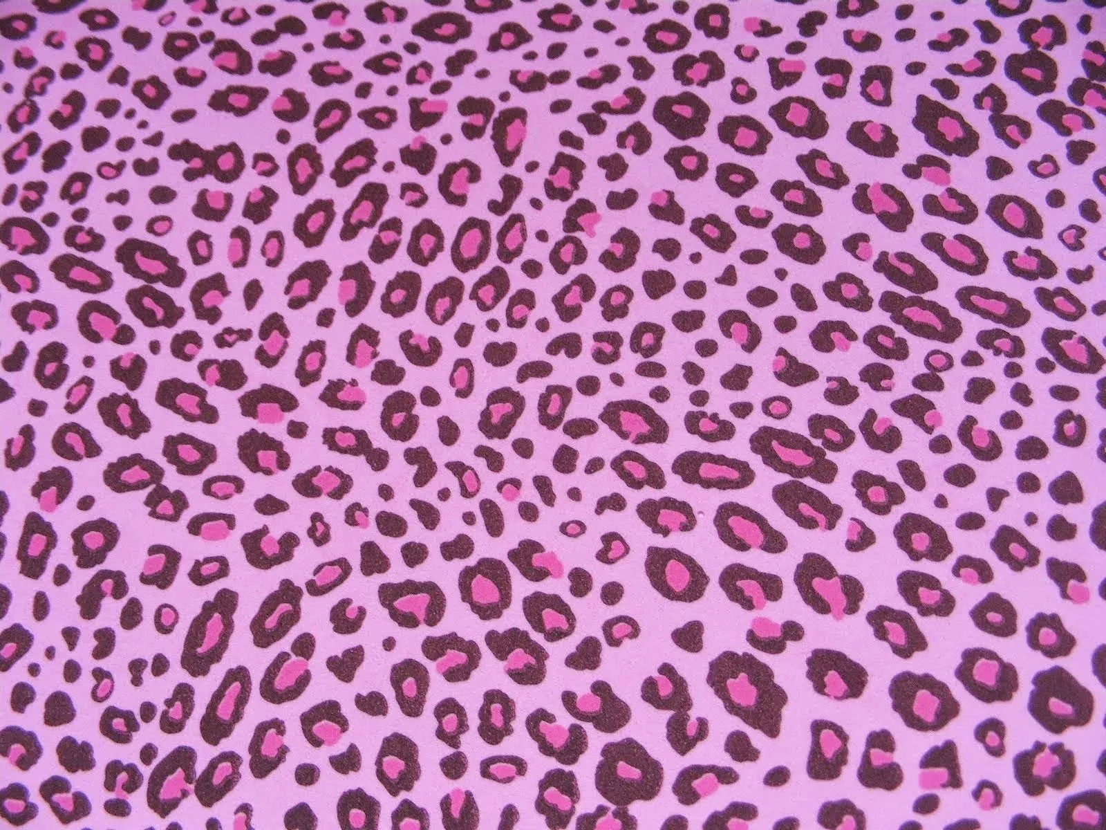 animal print leopardo fondo de pantalla Car Tuning animal print leopardo fondo de pantalla Car Tuning