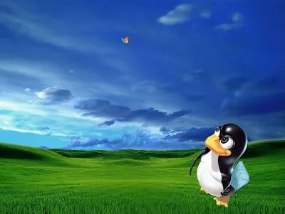 DESCARGA DE FONDO DE ESCRITORIO