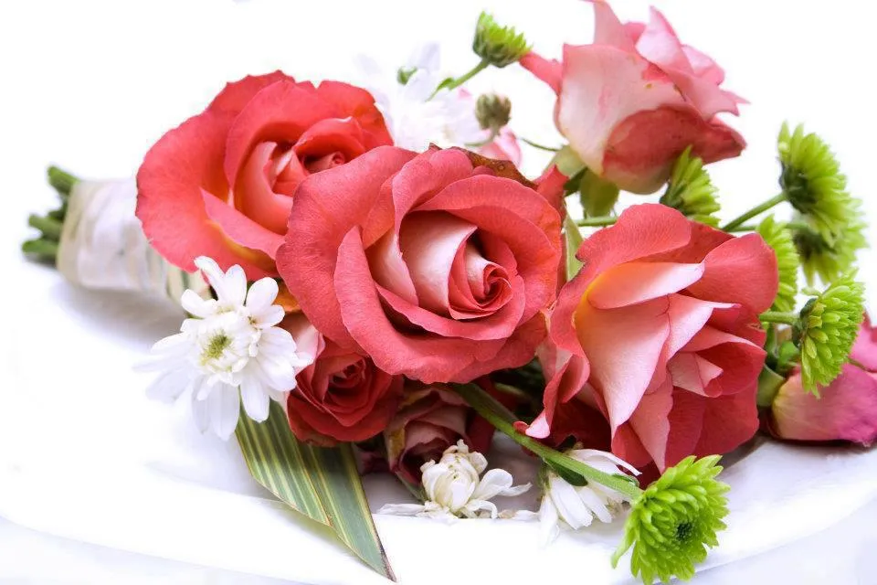 Imagenes, Fotos y Carteles para Compartir: Imágenes de Flores ... Imagenes, Fotos y Carteles para Compartir: Imágenes de Flores ...