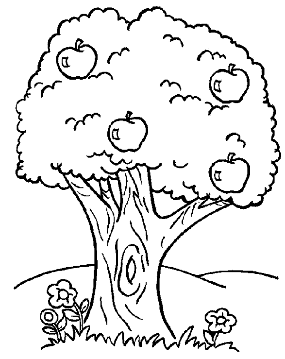 Imagenes y fotos: Dibujos de Arboles para Colorear, parte 2