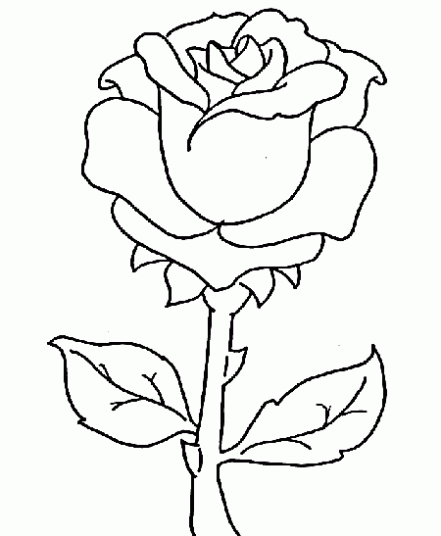 Imagenes y fotos: Dibujos de Flores para Colorear, parte 6