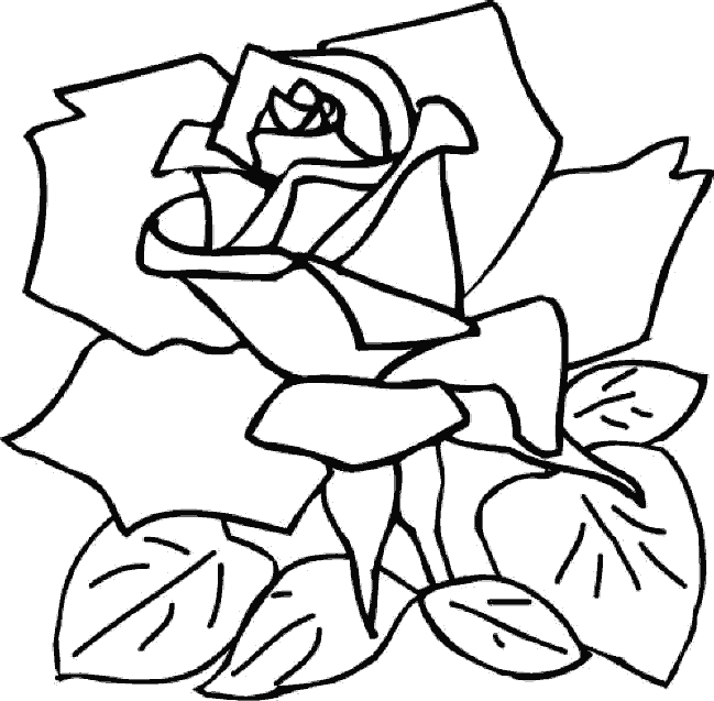 Imagenes y fotos: Dibujos de Flores para Colorear, parte 3