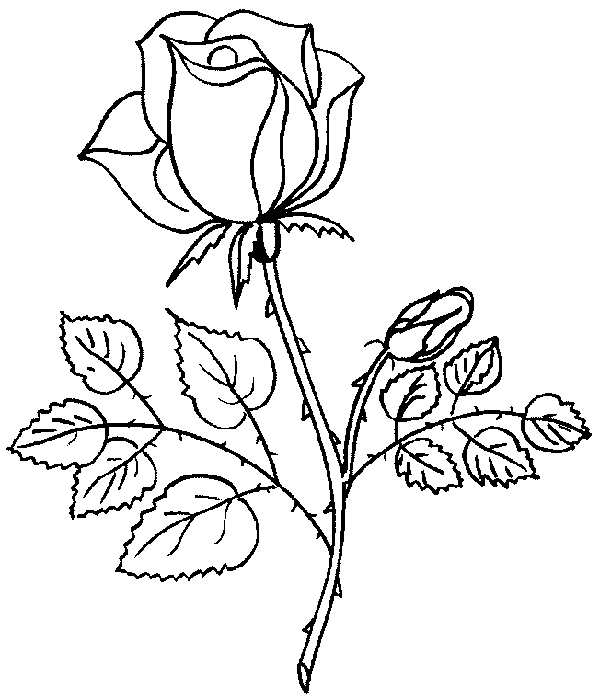 Imagenes y fotos: Dibujos de Flores para Colorear, parte 3