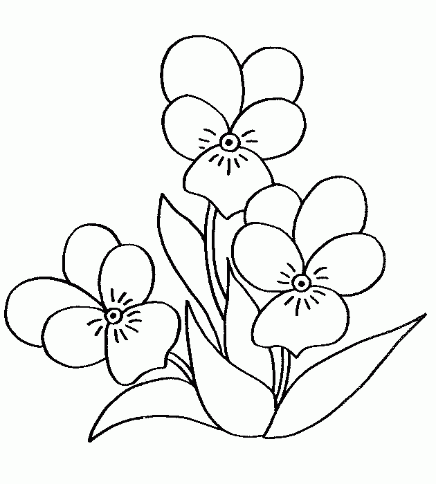 Imagenes y fotos: Dibujos de Flores para Colorear, parte 4