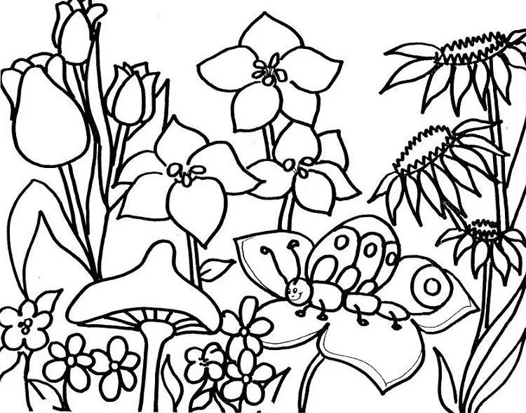 Imagenes y fotos: Dibujos de Primavera para Pintar, parte 1 Imagenes y fotos: Dibujos de Primavera para Pintar, parte 1