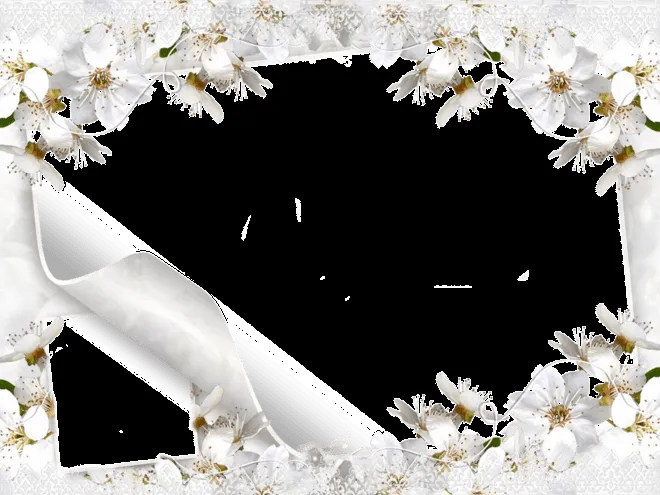 Imagenes y fotos: Imagenes de Amor, Flores Blancas, parte 6