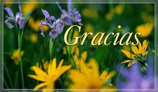 Imagenes y fotos: Imagenes de Gracias, parte 5 Imagenes y fotos: Imagenes de Gracias, parte 5