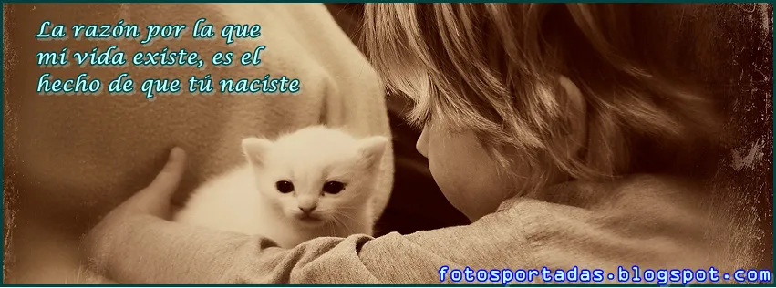 Imágenes y fotos de lindo gatito para portadas de facebook - Fotos ... Imágenes y fotos de lindo gatito para portadas de facebook - Fotos ...