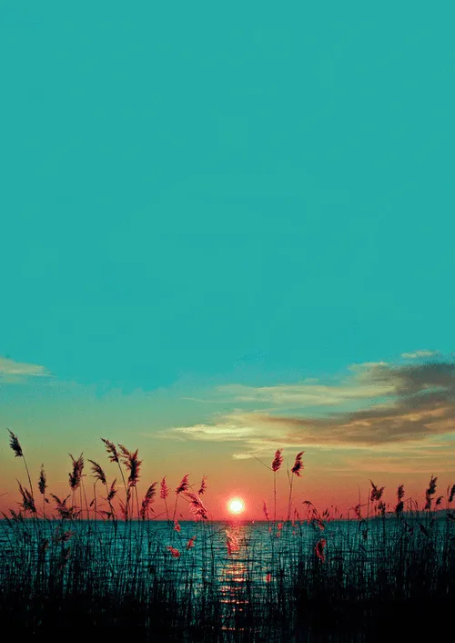 IMAGENES FOTOS PAISAJES Y MAS PARA FONDOS Y DIAPOSITIVAS: LAS MAS ... IMAGENES FOTOS PAISAJES Y MAS PARA FONDOS Y DIAPOSITIVAS: LAS MAS ...