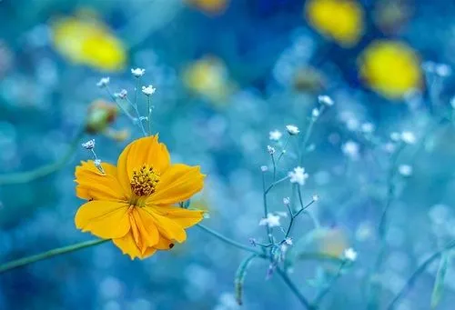 IMAGENES FOTOS PAISAJES Y MAS PARA FONDOS Y DIAPOSITIVAS ...