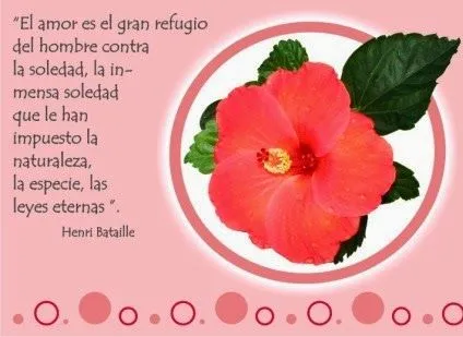 Imagenes y fotos: Poemas de Amor con Flores, parte 2