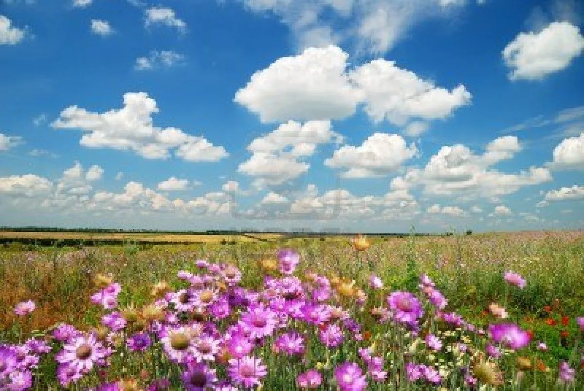 Imagenes y fotos: Wallpapers y Fondos de Pantalla con Paisajes ... Imagenes y fotos: Wallpapers y Fondos de Pantalla con Paisajes ...