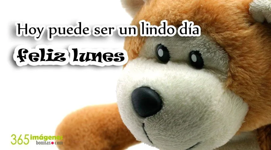 IMÁGENES CON FRASES © 365 Imágenes bonitas