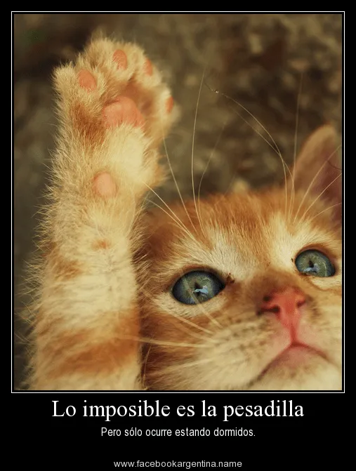 http://frasesdealiento.info/ Frases de aliento para seguir ...
