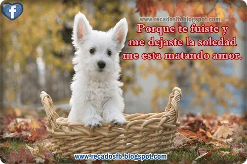 Imagenes Con Frases De Amistad Para Facebook | Miexsistir