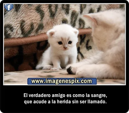 Imagenes Con Frases De Amistad Para Facebook | Miexsistir