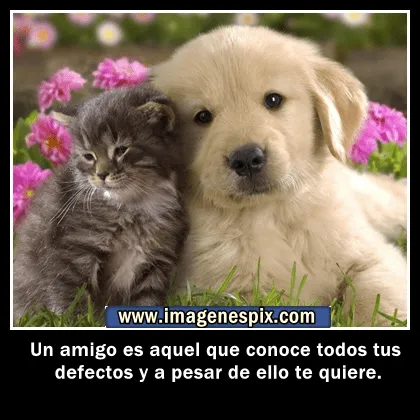 Imagenes Con Frases De Amistad Para Facebook | Miexsistir