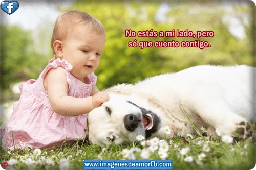 Imágenes con frases de amistad ~ Imagenes de amor con frases para ... Imágenes con frases de amistad ~ Imagenes de amor con frases para ...