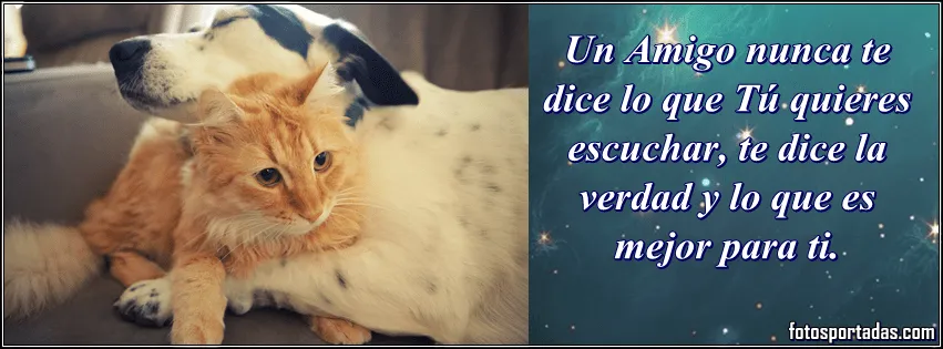 Imagenes con frases de amistad para portadas de facebook - Fotos ...