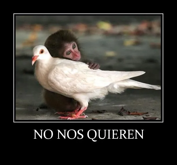 Frases de amor cortas para tu mujer | Frases de amor cortas