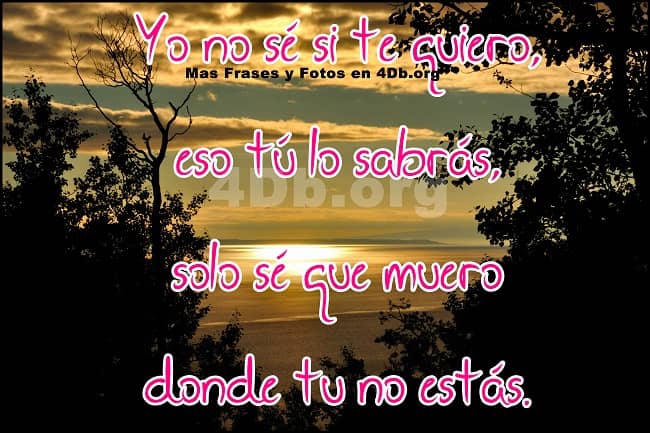 Frases de amor para descargar gratis - Imagui