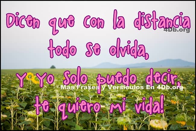 Imagenes con frases de amor para enamorar GRATIS - Beliefnet.com Imagenes con frases de amor para enamorar GRATIS - Beliefnet.com