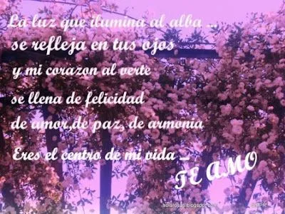 IMAGENES Y FRASES DE AMOR: imagen con tierno frase de amor