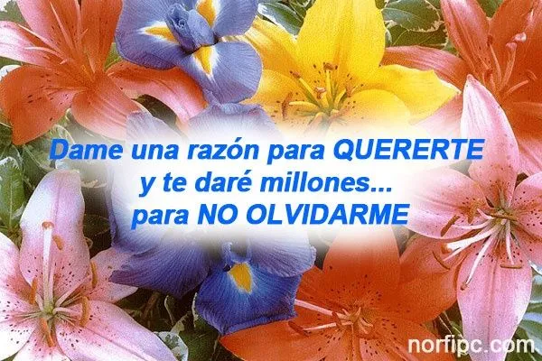 Imagen para expresar de cierto modo, la cantidad de amor que se ... Imagen para expresar de cierto modo, la cantidad de amor que se ...