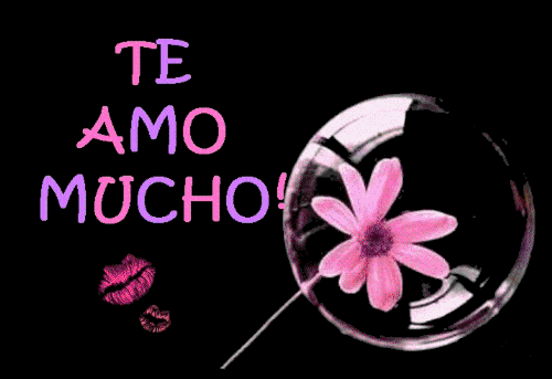 Imágenes con frases de amor para san Valentín | 14 de febrero Imágenes con frases de amor para san Valentín | 14 de febrero