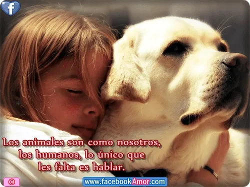 Imagenes con frases de animales para facebook Imagenes Bonitas ... Imagenes con frases de animales para facebook Imagenes Bonitas ...