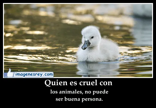 junio 2013 ~ Imagenes Desmotivaciones con Frases