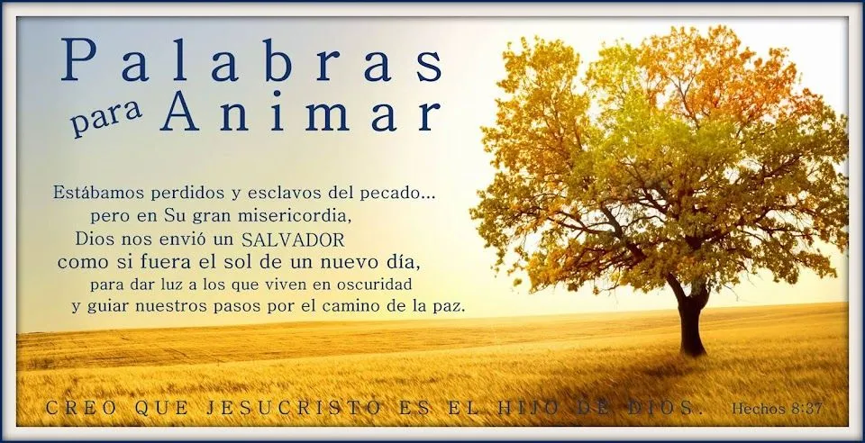 Palabras para Animar