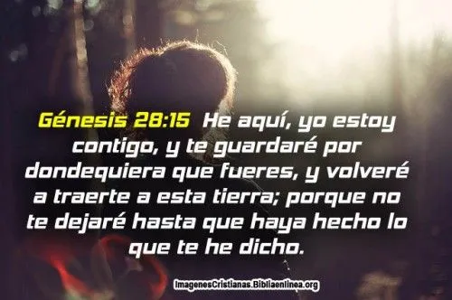 Imagenes Con Frases De Animo Para Enfermos 9