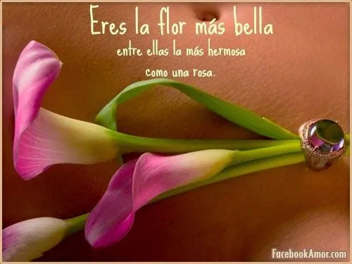 IMAGENES CON FRASES BONITAS - Imágenes Bonitas para Facebook Amor ...